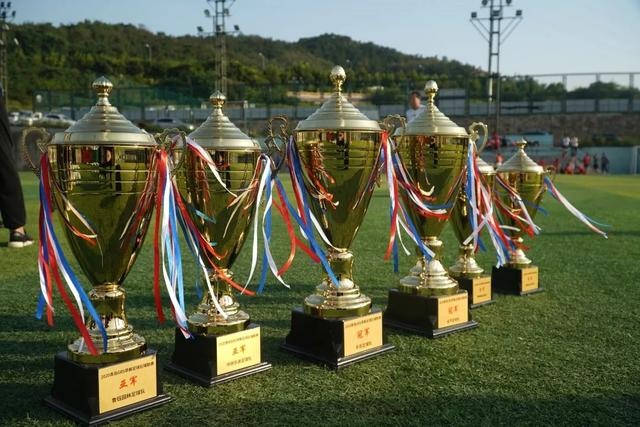 土媒：费内巴切准备官宣塔利斯卡加盟